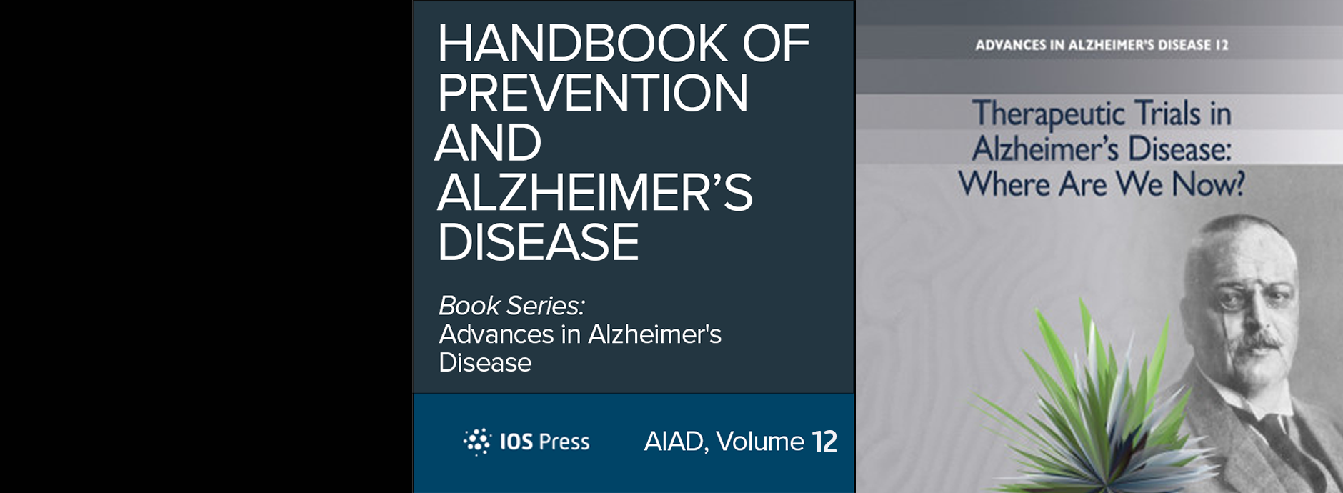 AIAD Volume 12