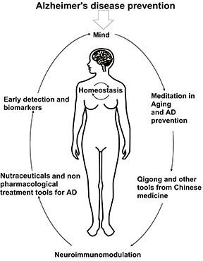 Caption:  towards AD prevention considering the factors mentioned above and the control of neuroinflammatoy events