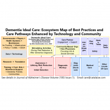 Dementia Ideal Care Map