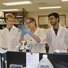 Students in the Zhao lab